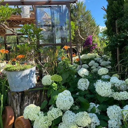 La Maison Du Bonheur 3km Le Pal