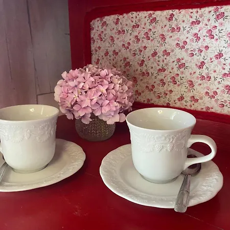 La Maison Du Bonheur 3km Le Pal Thiel-sur-Acolin