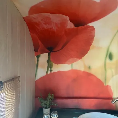 La Maison Du Bonheur 3km Le Pal Thiel-sur-Acolin