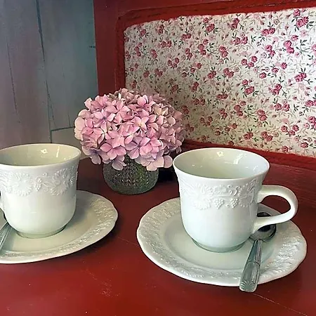 Bed & Breakfast La Maison Du Bonheur 7km Le Pal Thiel-sur-Acolin
