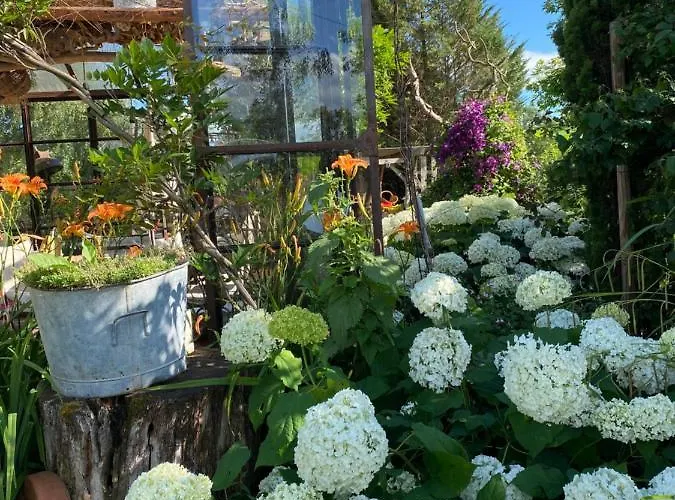 La Maison Du Bonheur 7km Le Pal